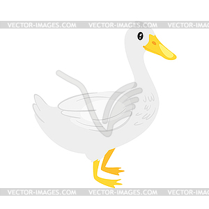 Farm animal - duck - vector clip art