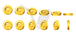 Bitcoin for animation - vector image