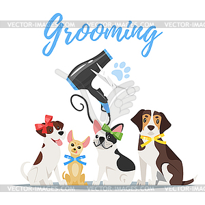 Grooming concept with dogs - vector clip art