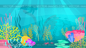 Underwater background with sea flora - vector clip art