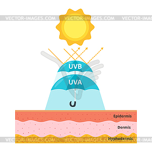 Uva and uvb protection concept - vector clipart