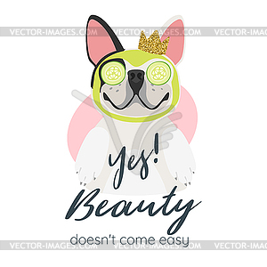 French bulldog getting spa treatment - vector image