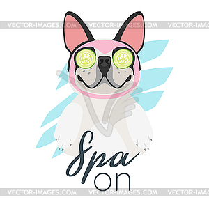 French bulldog getting spa treatment - vector clipart