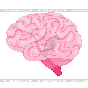 Brain organ - vector clip art