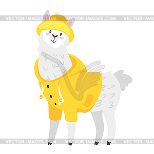 Cute lama. Alpaca animal - vector clip art