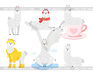 Cute lama. Alpaca animal - vector clip art