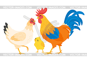 Chicken family: hen, rooster - vector clip art