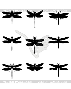 Silhouettes of dragonflies - vector clipart