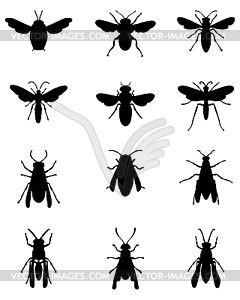 Пчелы и осы - рисунок в векторе