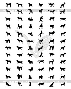 Breeds of dogs - stock vector clipart