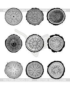 Cross section of trunk - white & black vector clipart