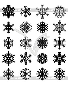 Different black snowflakes - vector image