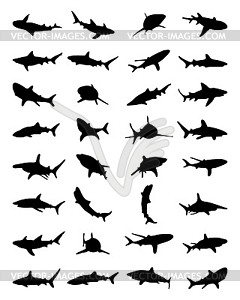 Black shark silhouettes - vector clipart