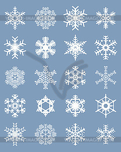 Different white snowflakes - vector image