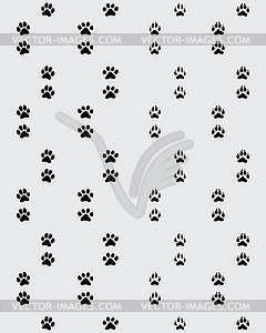 Footprint of paws - vector clipart