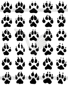 Black print of dogs paws - vector image