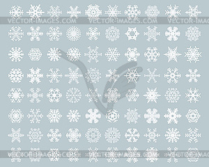 Different white snowflakes  - vector clipart