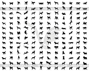 Black silhouettes of dogs - vector image