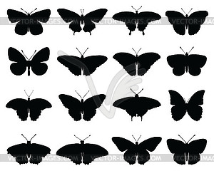 Silhouettes of butterflies - vector image
