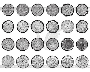 Set of cross section of trunks  - vector image