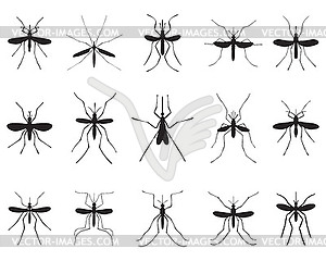 Black silhouettes of dragonflies - royalty-free vector image