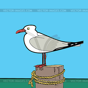 Sea gull sitting on pier - vector clipart