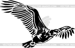 Flying Eagle - vector clipart