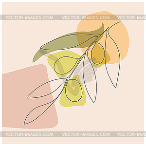 Olive branch in leaves and olives in continuous - vector clipart