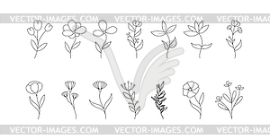 Set of plants is hand-drawn for coloring books, - vector clip art