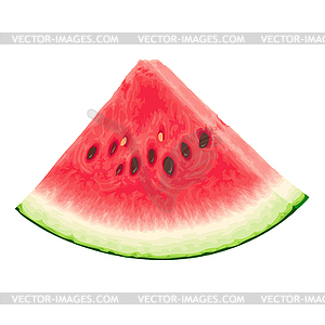 Piece of watermelon - vector clipart