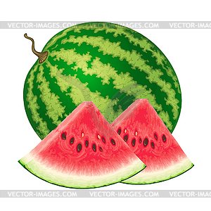 Watermelon - vector clipart