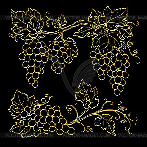 Gold grape branches - vector image