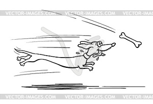 Dachshund dog running for bone - vector image