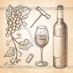 Wine - vector image