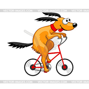 Dog rides bicycle - vector clipart