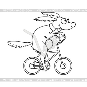 Dog rides bicycle - vector image
