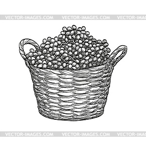 Grapes in baskets - vector image