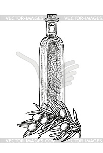 Бутылка оливкового масла и оливковую ветвь - изображение векторного клипарта