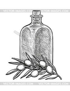 Bottle of olive oil and olive branch - vector clip art