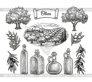 Olive big set - vector clipart / vector image