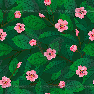Floral seamless pattern. Cherry blossom. Vector - vector image