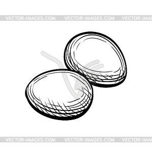 Яйца - изображение в векторе / векторный клипарт