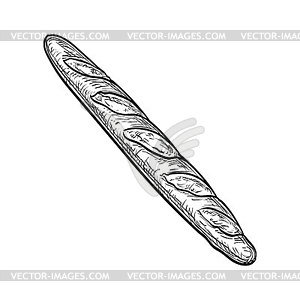 Baguette - vector clipart