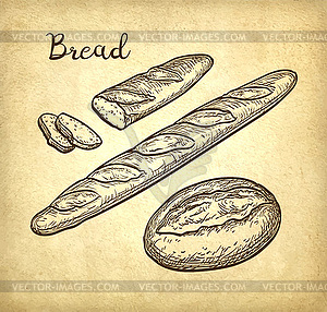 Baguette and rustic bread - vector image