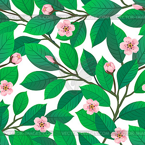 Cherry blossom seamless pattern - vector clip art