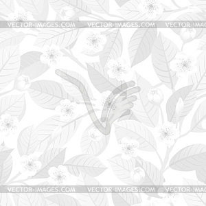 White floral seamless pattern - vector image