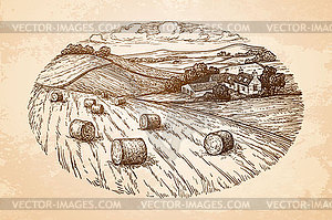 Rural landscape with hay bales - vector image