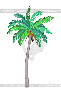 Кокосовые пальмы - векторный рисунок