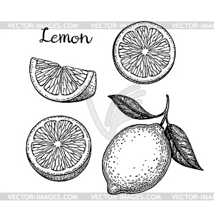 Лимонный набор - черно-белый векторный клипарт