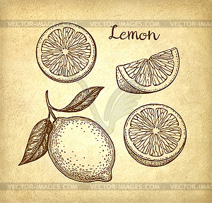 Lemon set on old paper background - vector clipart